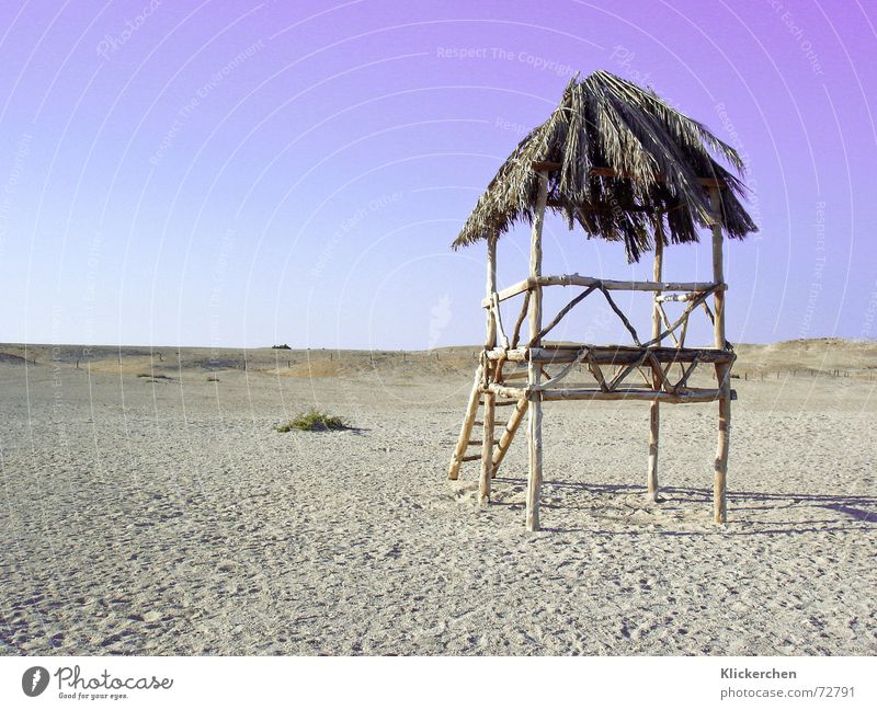 Paradise Iceland Loneliness Calm Vacation & Travel Beach Ocean Dream Thought Idyllic beach Sandy beach To enjoy Exterior shot Nature Island Peace