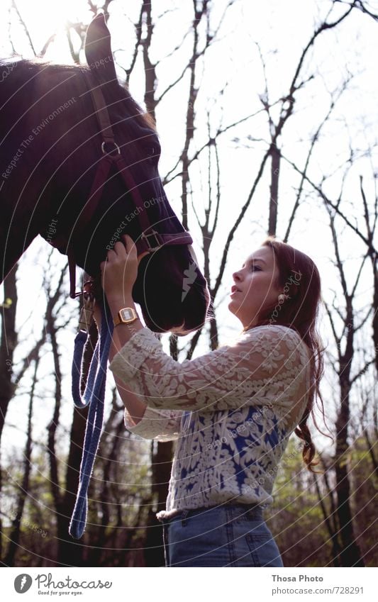 Together you are less alone II Animal Horse Animal face Pelt 1 Old Tall Beautiful Wild Soft Anger Serene Patient Calm Self Control Young woman Brown White