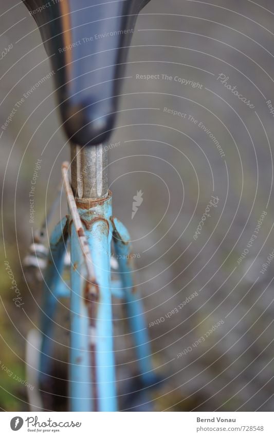 morning socket Bicycle Old Rust Bushing Plastic Bicycle saddle Bicycle frame Blue Black Retro Brakes Reflection Steel Colour photo Exterior shot Detail Deserted