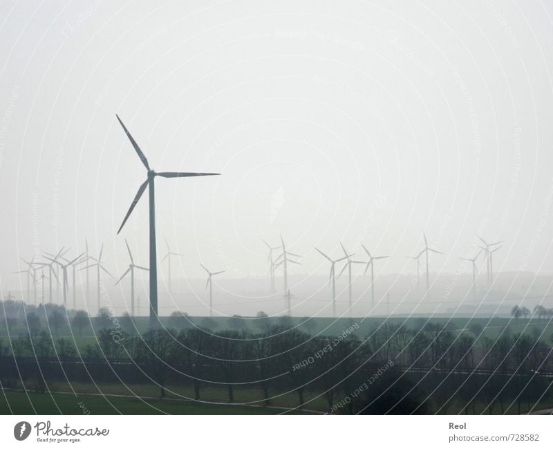 And another turn Agriculture Forestry Industry Energy industry Renewable energy Wind energy plant Nature Landscape Clouds Spring Bad weather Fog Field Pinwheel