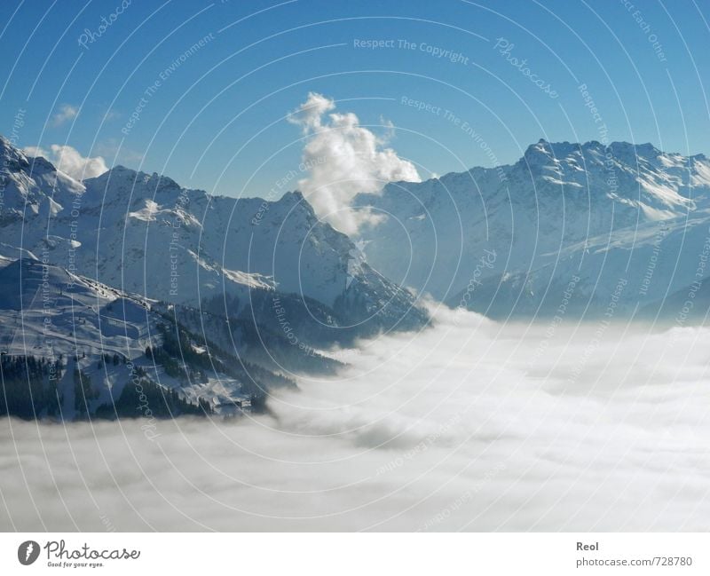 A sea of fog Winter sports Environment Nature Landscape Cloudless sky Horizon Beautiful weather Fog Mountain Alps Ski resort Peak Snowcapped peak Ski run Large