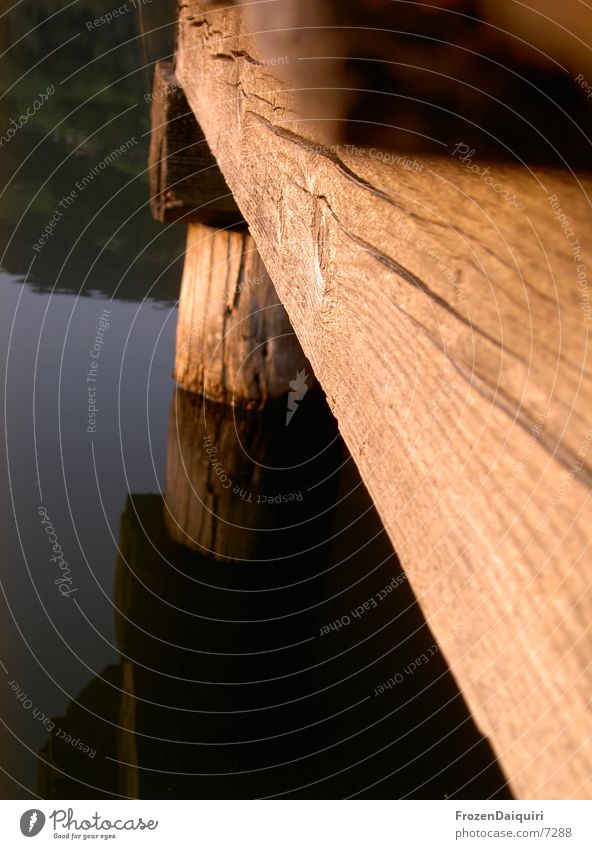 >>Brixener bar<<< Wood Lake Pond Federal State of Tyrol Austria Reflection Macro (Extreme close-up) Leisure and hobbies Water Close-up