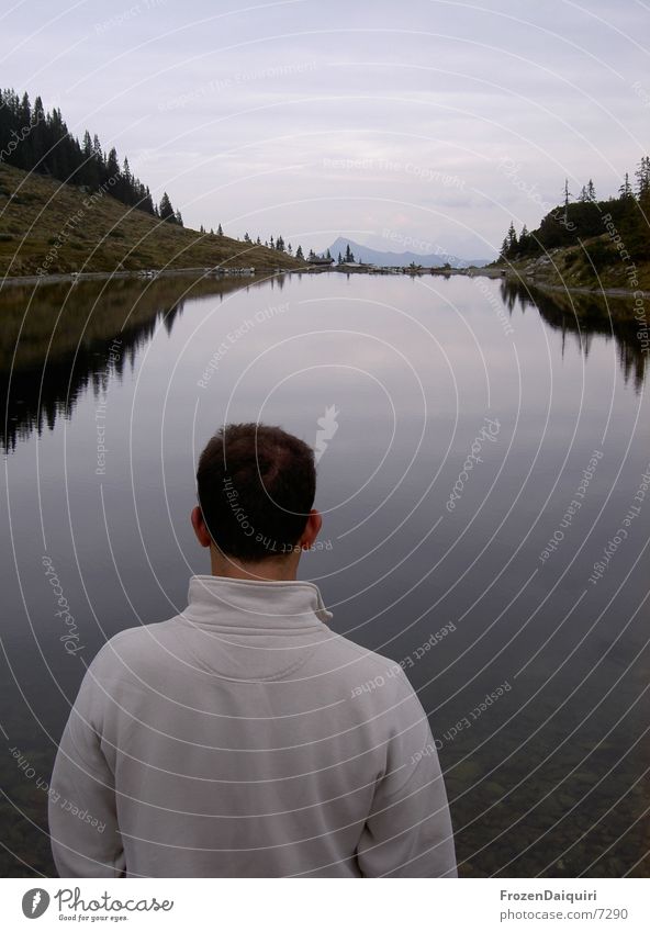 lake view Man Stand Forest Gray Federal State of Tyrol Austria Human being Looking Mountain spieglung Coast Blue