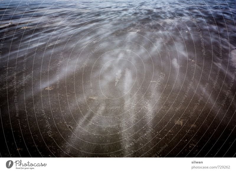 sandstorm Nature Beach Esthetic Exceptional Dirty Large Cold Brown White Orderliness Adventure Uniqueness Horizon Gust of wind Sandy beach Ameland blown Blow