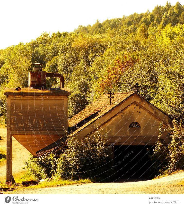 old, but hopefully paid for Saw mill Silo Decline Calm Extinct chip bunker Tower industrial romance nature recaptures everything