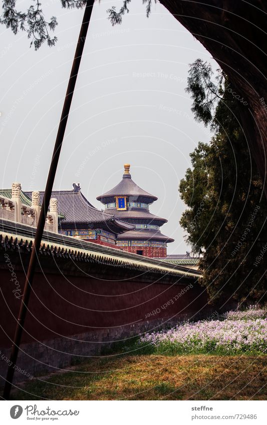 music box Beijing China Town City life Cinese architecture Temple Spring Park