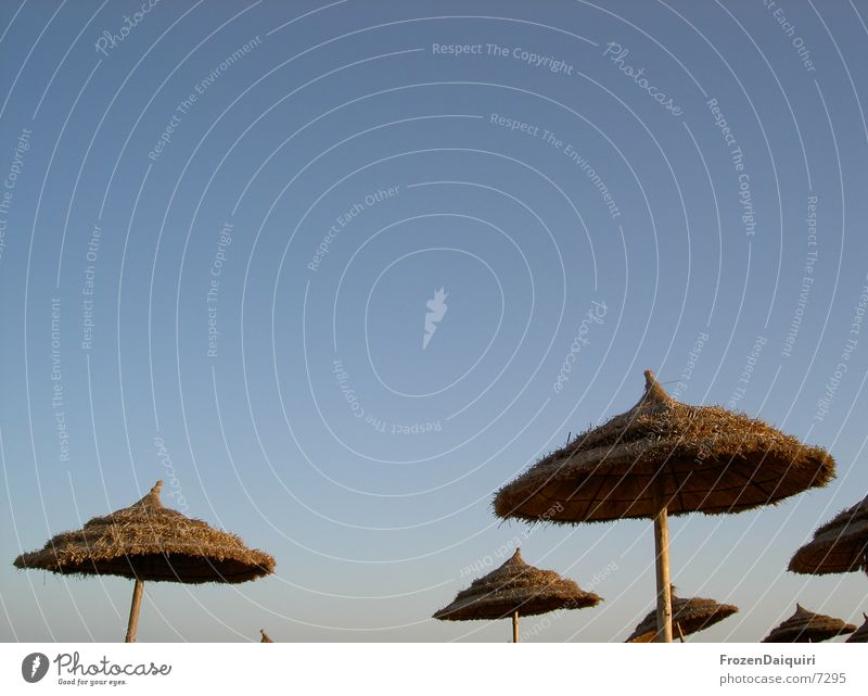 Parasol mushrooms? Tunisia Sunshade Straw Vacation & Travel Thought Leisure and hobbies Sunbathing Munich Blue sky Free Looking Sky Fog Dusk