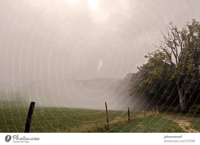 fog hole Swabian Jura Fog Fence Meadow Exterior shot Tree Mystic Jinxed Sky sootstone Lanes & trails Signs and labeling