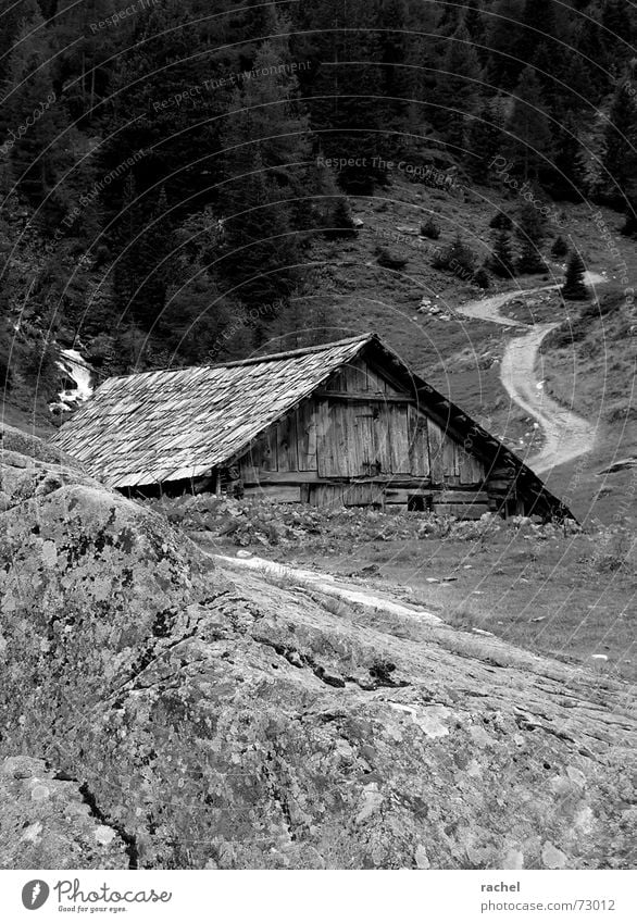 How much further? Breathe Alpine pasture Break Barn Hut Livestock Grass Larch Forest Mountain pasture Loneliness Badlands Decline Weathered Deserted Steep Rock