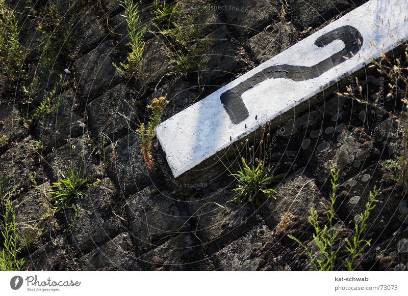 2.x Mole Jetty Evening sun Mannheim Stone white color