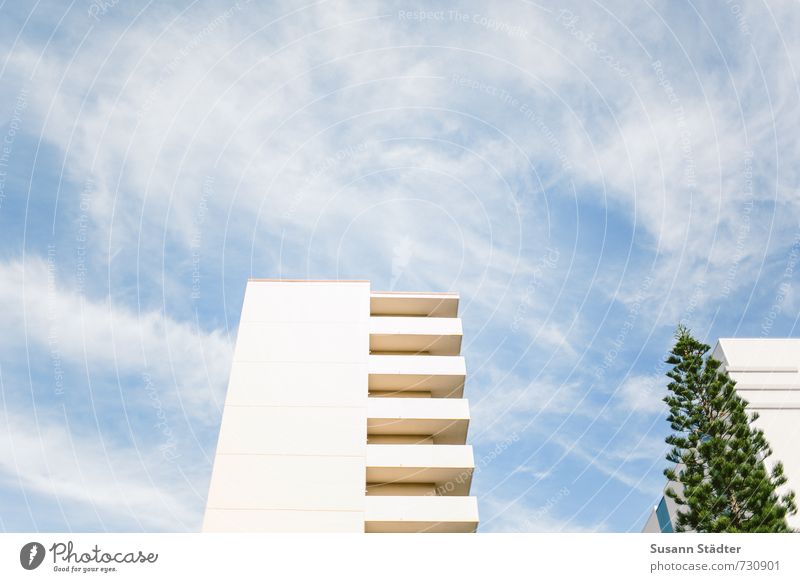 Hi pine! Stone pine Tree Apartment Building Hawaii Honolulu Apartment house Balcony Equal Clouds