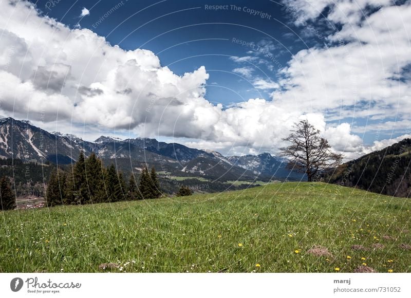 Enns valley Vacation & Travel Adventure Freedom Summer vacation Nature Landscape Sky Clouds Storm clouds Horizon Spring Weather Beautiful weather Meadow Hill