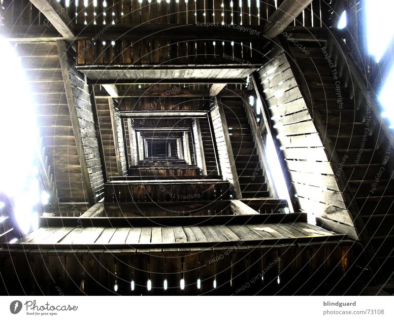 196 Steps To Heaven ... Wood Sunlight Light Construction Urban forest Lookout tower Beech tree Oak tree Frankfurt Main Deep Effort Unafraid of heights