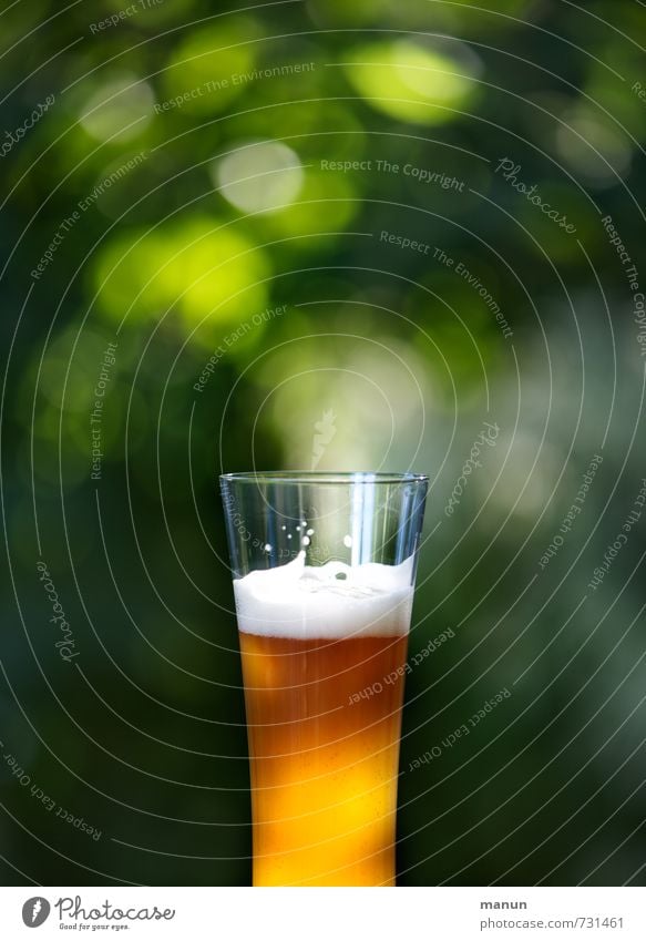 beer garden Nutrition Organic produce Yeast Brewer's yeast Beverage Cold drink Alcoholic drinks Beer Wheat beer Glass Gastronomy Garden Beer garden Fresh