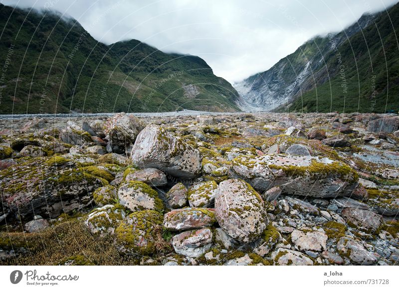 Franz Josef Glacier Valley Environment Nature Landscape Plant Elements Earth Water Sky Clouds Storm clouds Summer Bad weather Rain Moss Wild plant Rock Alps