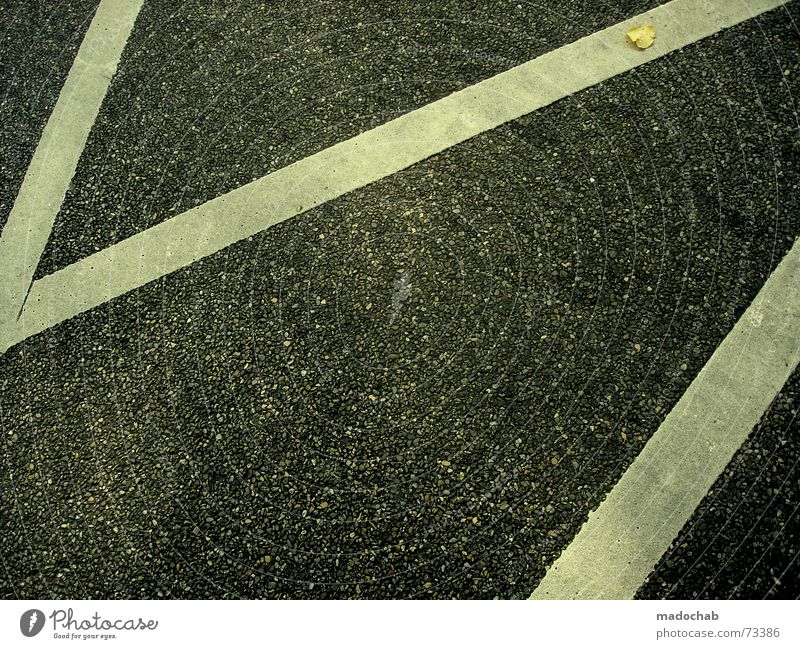 The money is lying on the street | street graphic design lines Stripe White Line Stone Gravel Style Zigzag Pattern Abstract Icon Autumn Dark Gloomy Transport