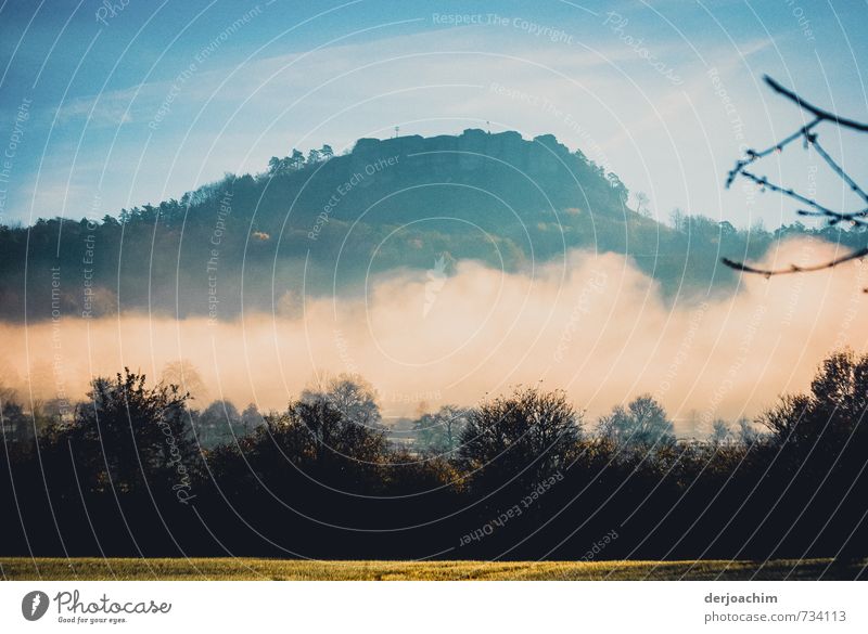 Fog mountain in the background. In front clouds, trees and sunlight and a meadow. Well-being Calm Vacation & Travel Hiking Landscape Weather Mountain Observe