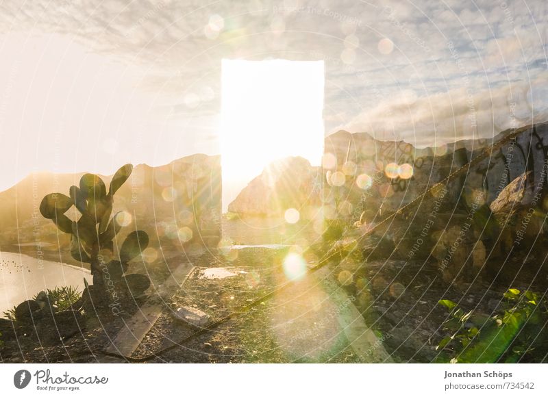 Sky door with cactus Environment Nature Landscape Beautiful weather Rock Mountain Exceptional Surrealism Death Dream Religion and faith Heaven Hope Ray of hope