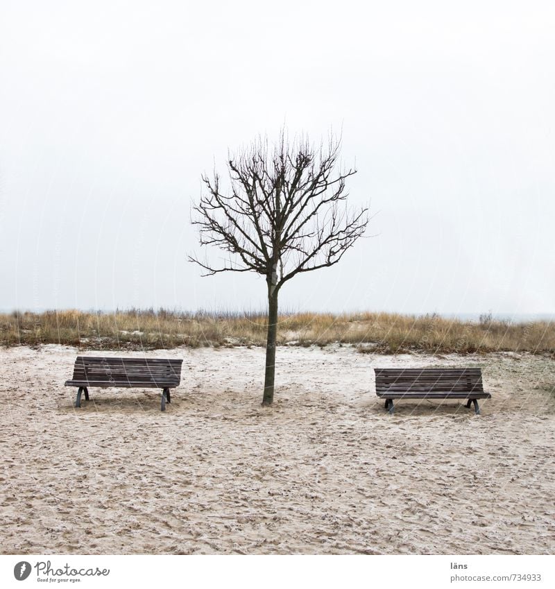 sandbanks Calm Beach Environment Nature Landscape Earth Sand Sky Autumn Winter Tree Baltic Sea Boredom Longing Loneliness Contentment Expectation