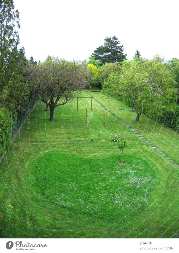 racing heart original with arrow Grass Lawn Mow the lawn Heart Arrow Love Garden