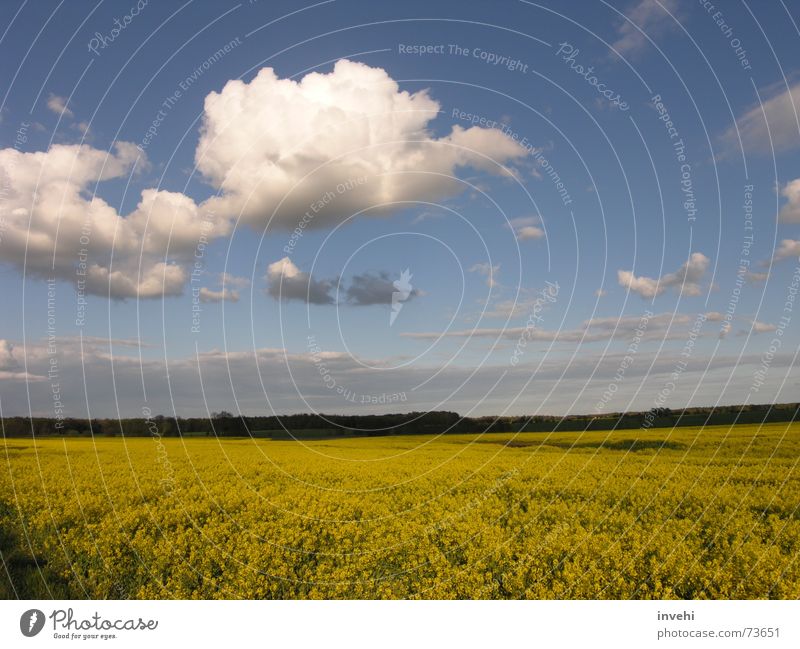 flyaway Clouds Field Far-off places Calm Horizon Sky Infinity Freedom