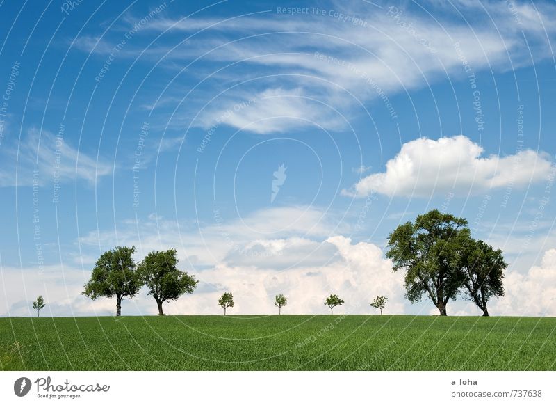 behind the horizon it goes on. Environment Nature Landscape Plant Elements Air Sky Clouds Horizon Spring Beautiful weather Tree Grass Meadow Field Hill