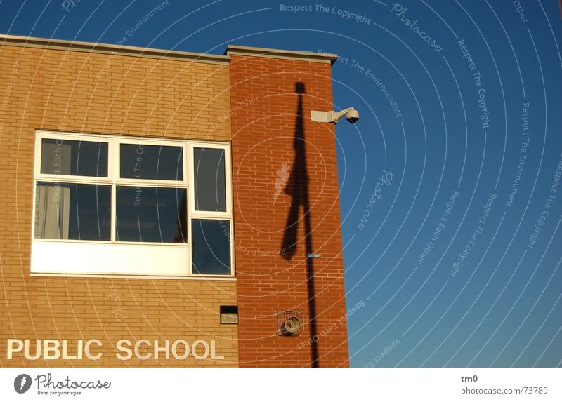 heat-free Canada Toronto Window Building School public school Blue Beautiful weather Shadow School building