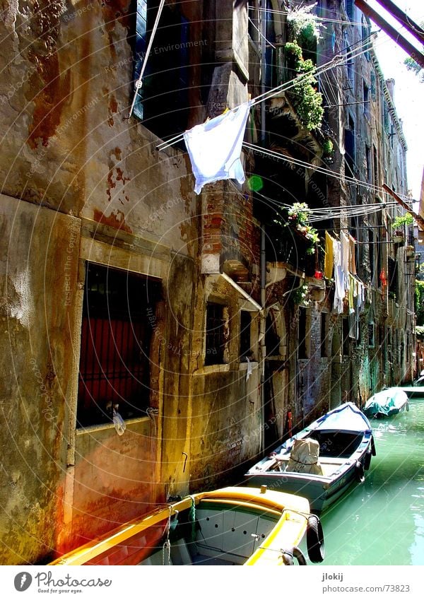 canal Venice Italy Europe Watercraft Sunlight Green Wall (barrier) House (Residential Structure) Waterway Shirt To go for a walk Dream Vacation & Travel Town