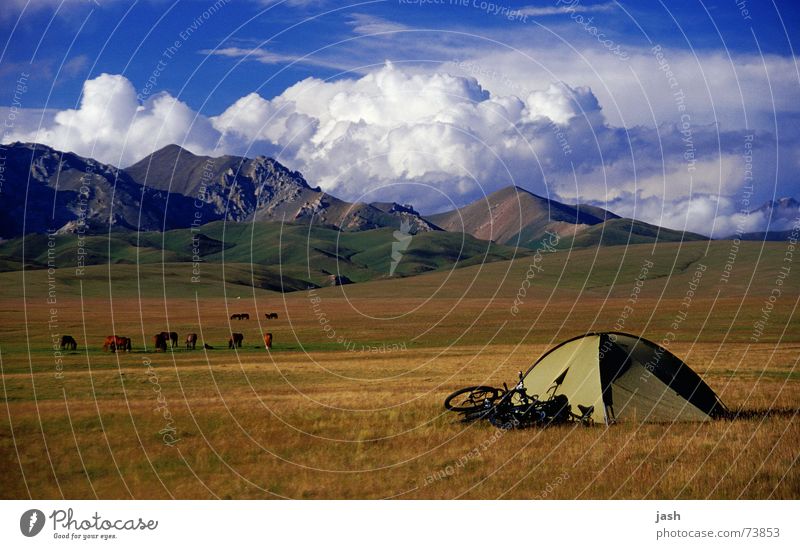 Campsite at Song Kol (3000m, Kyrgyzstan) Tent Green Bicycle Brown Meadow Yellow Clouds Cumulus High plain Calm Exterior shot Mountain domed tent Sky Freedom