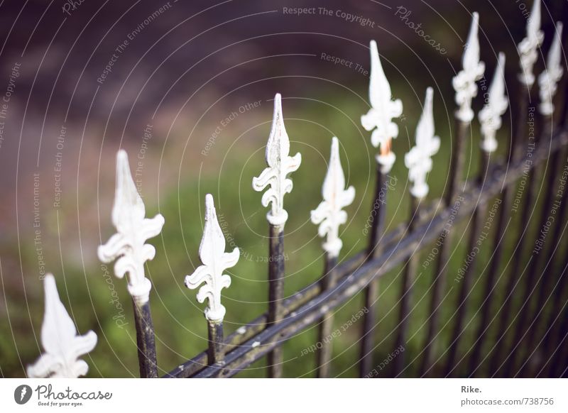 Along. Art Garden Old town Fence Metal Ornament Dirty Sharp-edged Historic Beautiful Point Arrangement Style Infinity Decline Past Transience Time Destruction