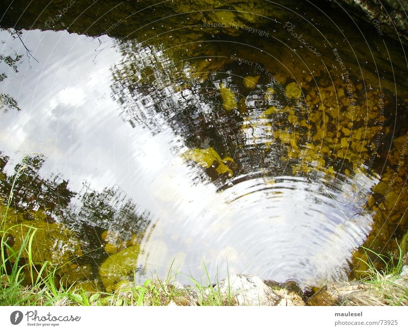 positive vibes Swing Brook Ethnology Tadpole Calm Cardiovascular system Swimming pool Environmental protection Infinity Autumn Water Mountain Nature mule