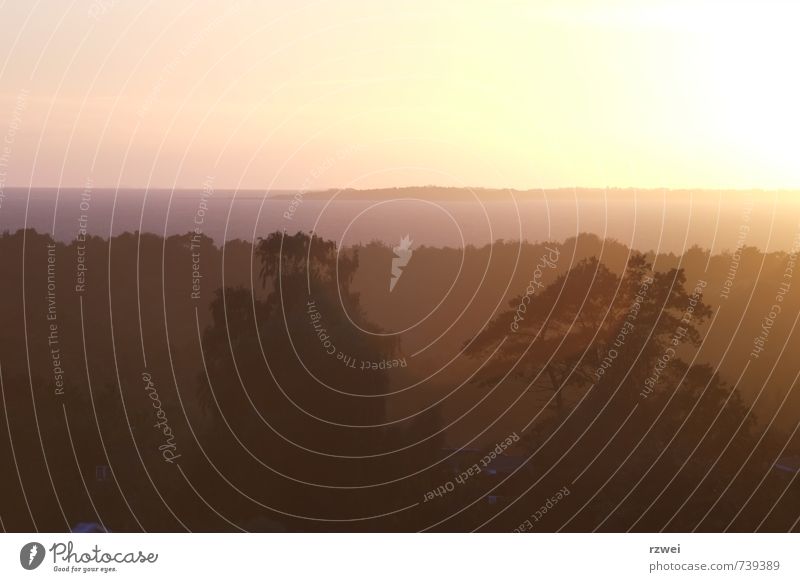 Sunset on Zealand Landscape Sky Sunrise Sunlight Tree Coast Baltic Sea Ocean Island Denmark Moody Calm Contentment Dusk Colour photo Exterior shot Deserted