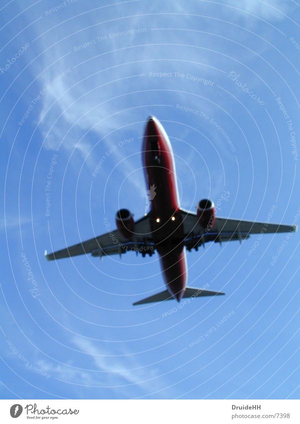 Withdrawn Airplane Clouds Aviation Sky Vacation & Travel Airplane landing Beginning Airport