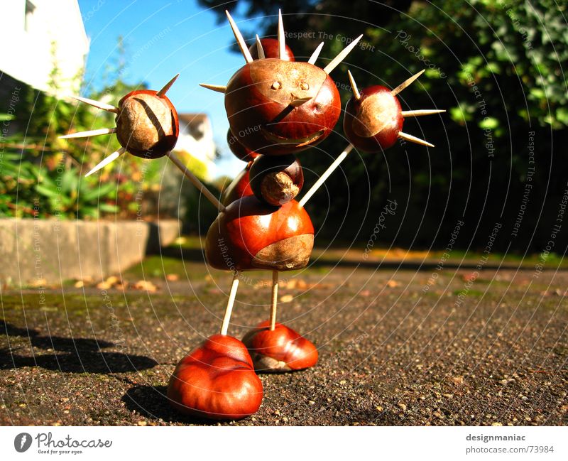 the chestnut man loves you all :-) Applause Welcome Smiley Joke Cheer Autumn Physics Scare Brown Hair and hairstyles Going Wave Toothpick Worm's-eye view Clouds