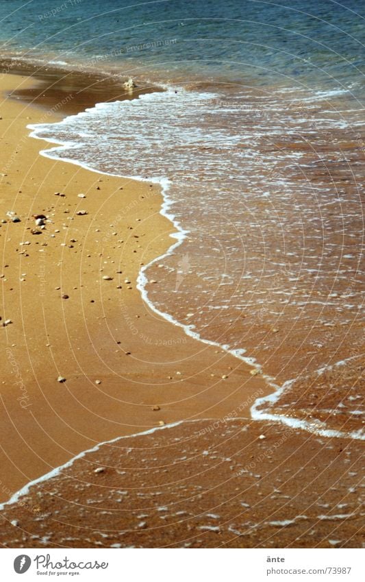 wanderlust Malta To go for a walk Gozo Ocean Beach Foam Waves Vacation & Travel Brown Pebble Hissing Switch off Easy Loneliness Deserted Remote