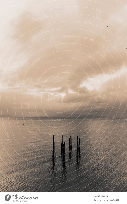 Fjord symbiosis six Norway Ocean Loneliness Trondheim Clouds Nature Black & white photo Sepia Water Sky