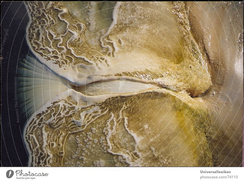 Limestone structure at petrified waterfall/Oaxaca/Mexico-1 Current Ochre Macro (Extreme close-up) Close-up Structures and shapes hierve el agua Universe Earth