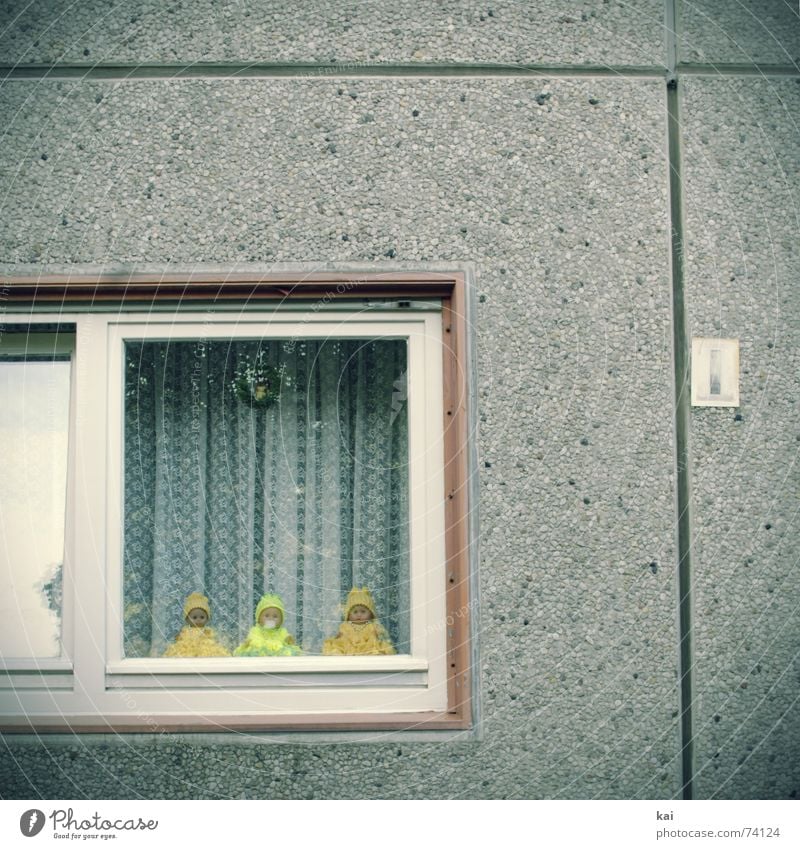 Prefabricated windows with decorative dolls Colour photo Subdued colour Exterior shot Deserted Copy Space top Day Central perspective Living or residing