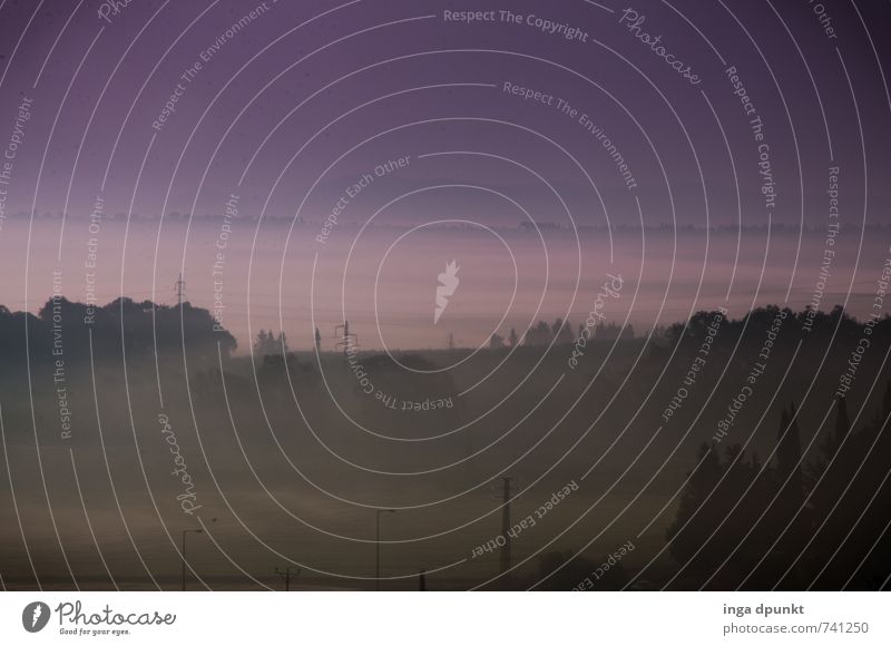 wafts of mist Environment Nature Landscape Plant Elements Air Spring Weather Beautiful weather Fog Tree Field Hill Israel Galilee Near and Middle East