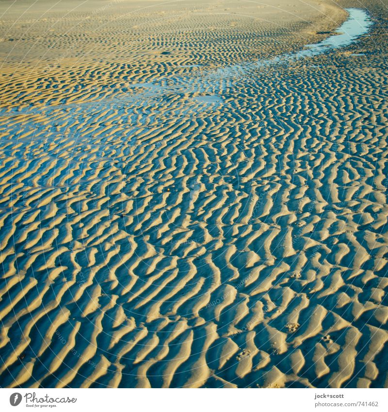 wet sand Far-off places Beach Sand Water coast Pacific Ocean Low tide Pacific beach Authentic Exotic Glittering Surface structure Shadow play Natural phenomenon