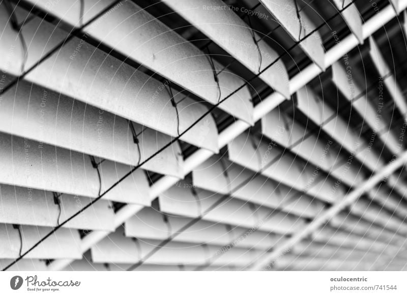 Various Shades of Grey Wall (barrier) Wall (building) Cool (slang) Gray Roller shutter Shutter Vanishing point Stripe Roller blind Structures and shapes Closed