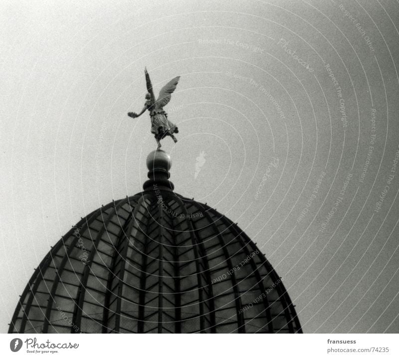 pheme Lemon squeezer Dresden Domed roof House (Residential Structure) Manmade structures Art Building Glass dome university of fine arts Academic studies Angel