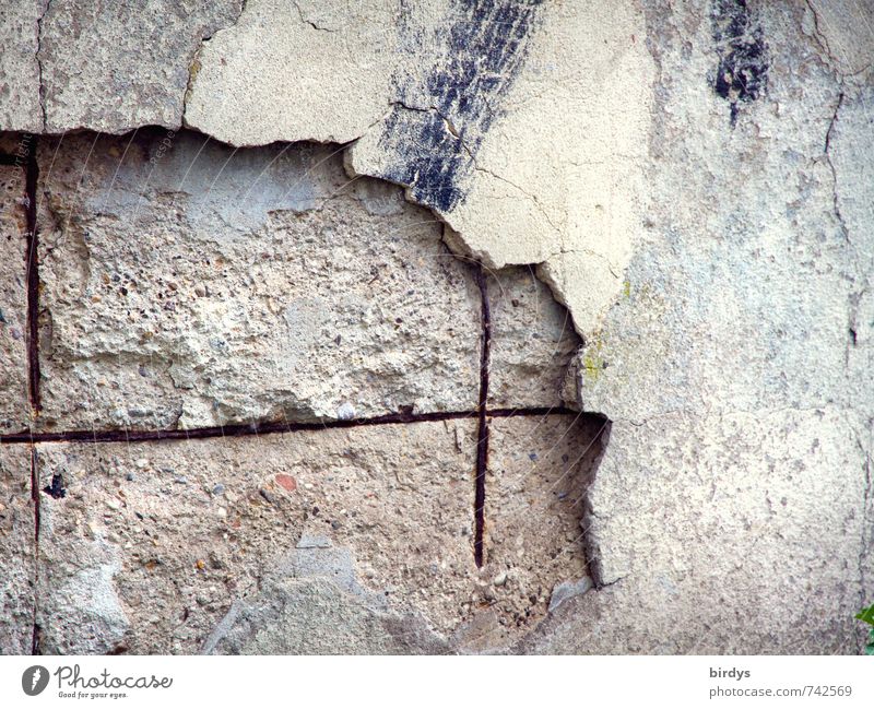 The ravages of time Wall (barrier) Wall (building) Old Authentic Hideous Gloomy Senior citizen Transience Change Concrete wall Rust Reinforcement steel Plaster