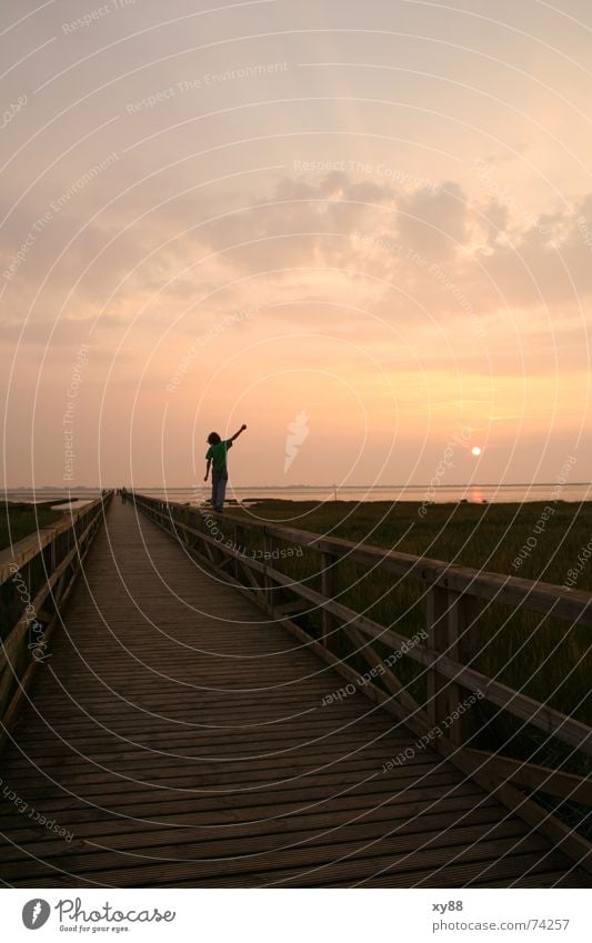 reflection Contentment Calm Beach Ocean Lanes & trails Far-off places Caution Self Control Loneliness Movement Eternity Concentrate Mobility Sunset Footbridge