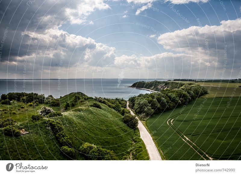 coastal line Landscape Sky Clouds Storm clouds Sun Sunlight Tree Bushes Field Coast Baltic Sea Blue Green White Mecklenburg-Western Pomerania Rügen