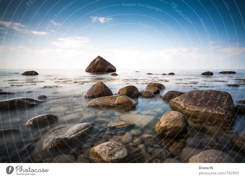 swan stone Beach Ocean Landscape Sand Water Sky Clouds Horizon Summer Beautiful weather Coast Baltic Sea Stone Blue Brown White Mecklenburg-Western Pomerania