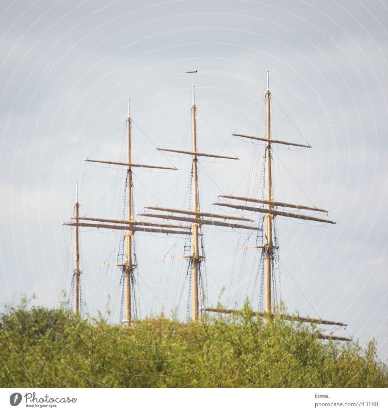 Last anchor Beautiful weather Plant Bushes Tourist Attraction Navigation Sailing ship Watercraft Harbour Mast Old Historic Unwavering Concern Longing Wanderlust