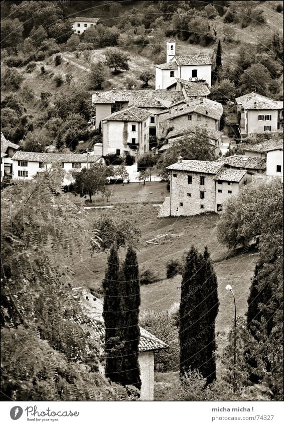 Bella Italia Lake Garda Italy Lombardy House (Residential Structure) Village Small Cute Tree Slope Landscape tremosine Individual Mountain Black & white photo