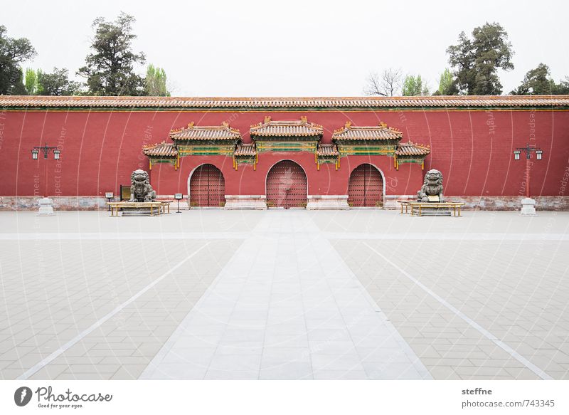 harmony Beijing China Gate Wall (barrier) Wall (building) Door Historic Asian architecture Places Arrangement Harmonious Meditation Colour photo Exterior shot