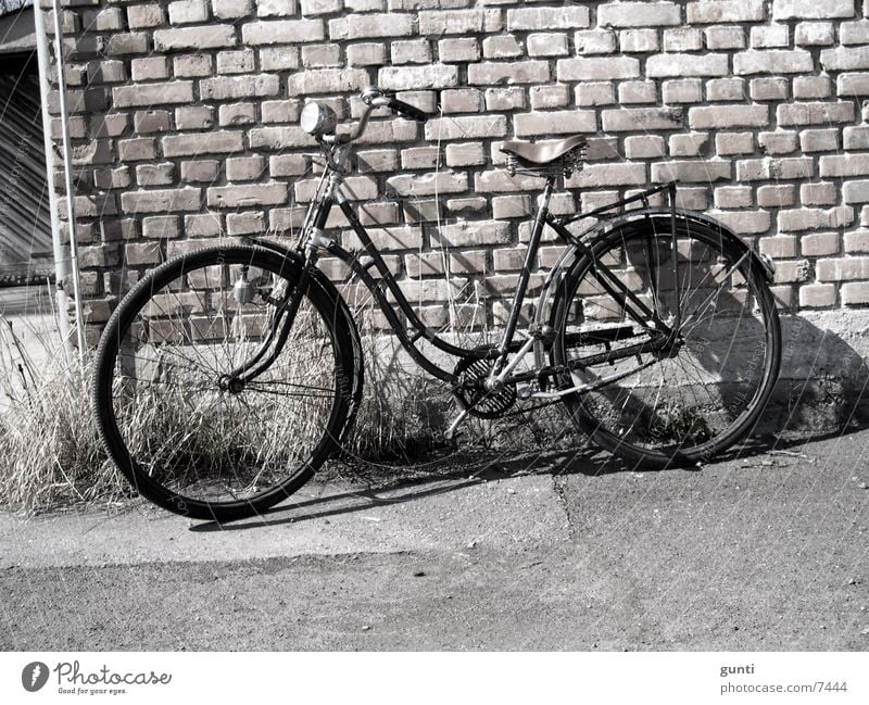 Ride my old Bike Bicycle Nostalgia Original Dust Wall (barrier) Stone wall Transport Old Rust leather saddle